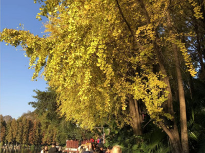 桂林市中心两江四湖景区大变身惊艳全城