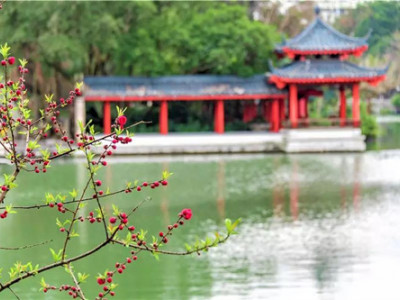 【景区开放了】春暖花开，绿色洗肺之旅从两江四湖景区开始！