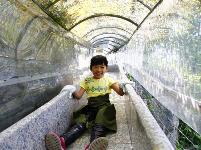 叠彩伏波游览区的活动集锦