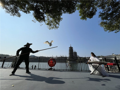 鱼鹰贺岁，财神送福，古筝和鸣，牛年游两江四湖牛运亨通