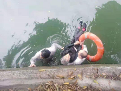 多方合力，开展营救