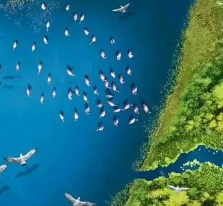 【两江四湖】桂林这些“国家级”神仙颜值的地方，你去过几个？