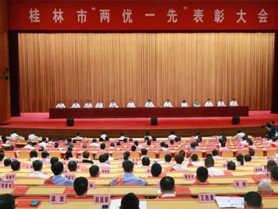 献礼党的生日------桂林两江四湖公司党委 荣获“桂林市先进基层党组织”称号！