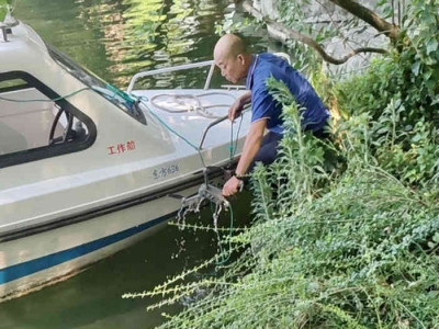 好人好事好品质 文明劝阻助创城