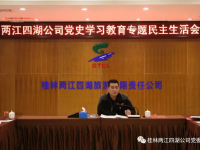 两江四湖公司领导班子召开党史学习教育专题民主生活会