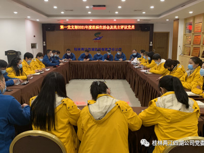 把牢政治方向 坚定理想信念 担当进取作为------两江四湖公司2021年度组织生活会及党员民主评议