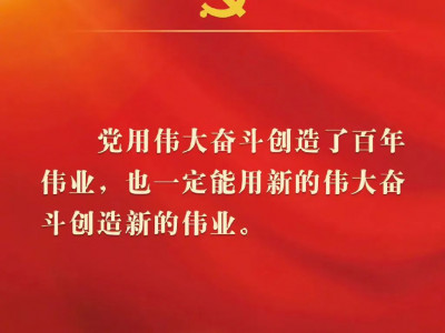 二十大报告金句