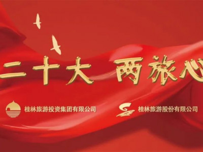 旅投集团、旅股份部分下属企业党组织书记话感想、谈体会、抓落实