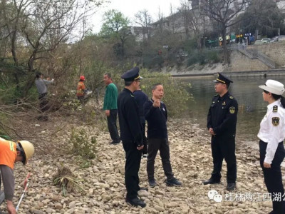 对漓江城市段航道树木进行修剪治理排除航道视线遮挡安全隐患