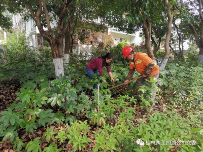 春回大地，两江四湖景区再披新装
