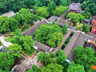 习近平总书记这样格物究理