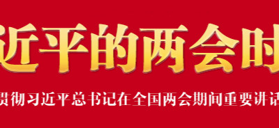 学习贯彻习近平总书记在全国两会期间重要讲话精神