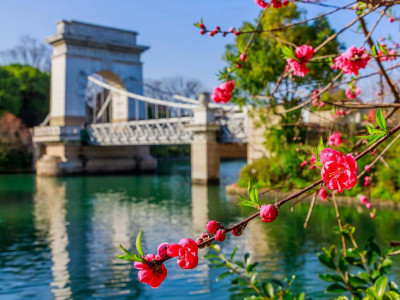 三月三特色游船｜日游四湖·豪华船