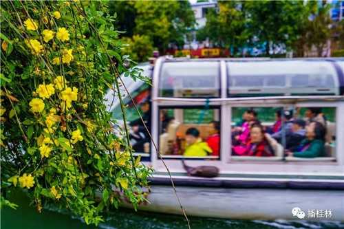 阳春三月 到桂林两江四湖看“花花世界”