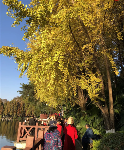 桂林市中心两江四湖景区大变身惊艳全城