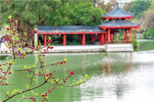 【景区开放了】春暖花开，绿色洗肺之旅从两江四湖景区开始！