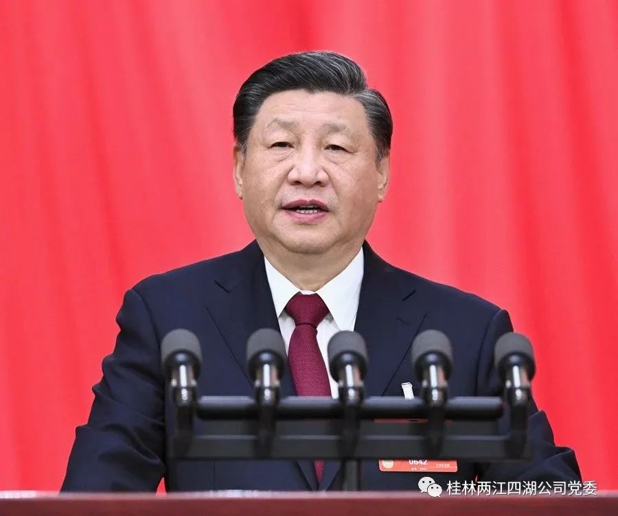 习近平：在第十四届全国人民代表大会第一次会议上的讲话