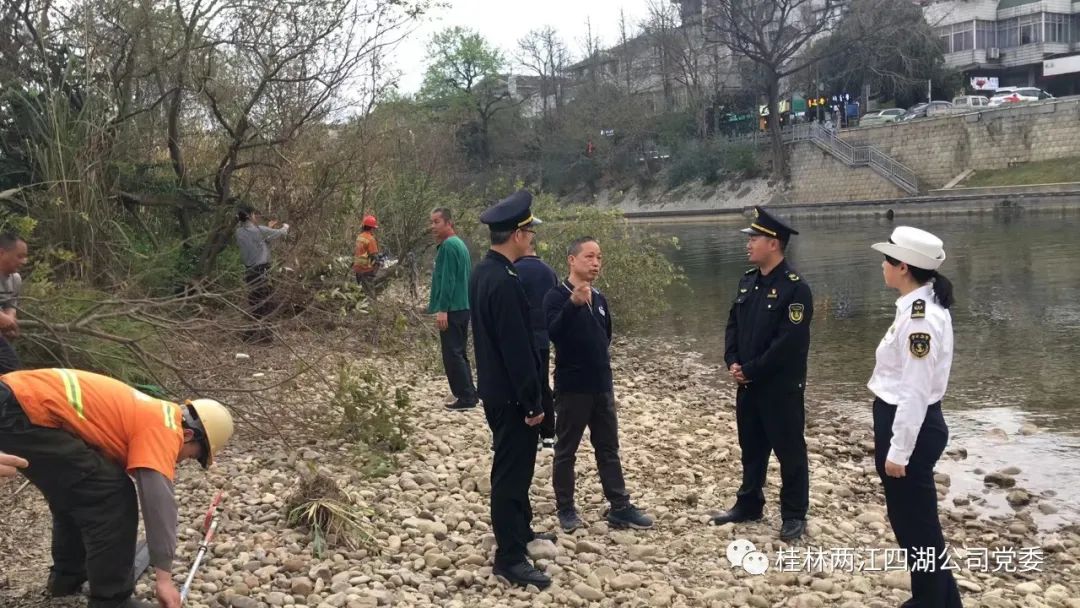 对漓江城市段航道树木进行修剪治理排除航道视线遮挡安全隐患