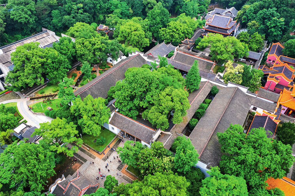 习近平总书记这样格物究理